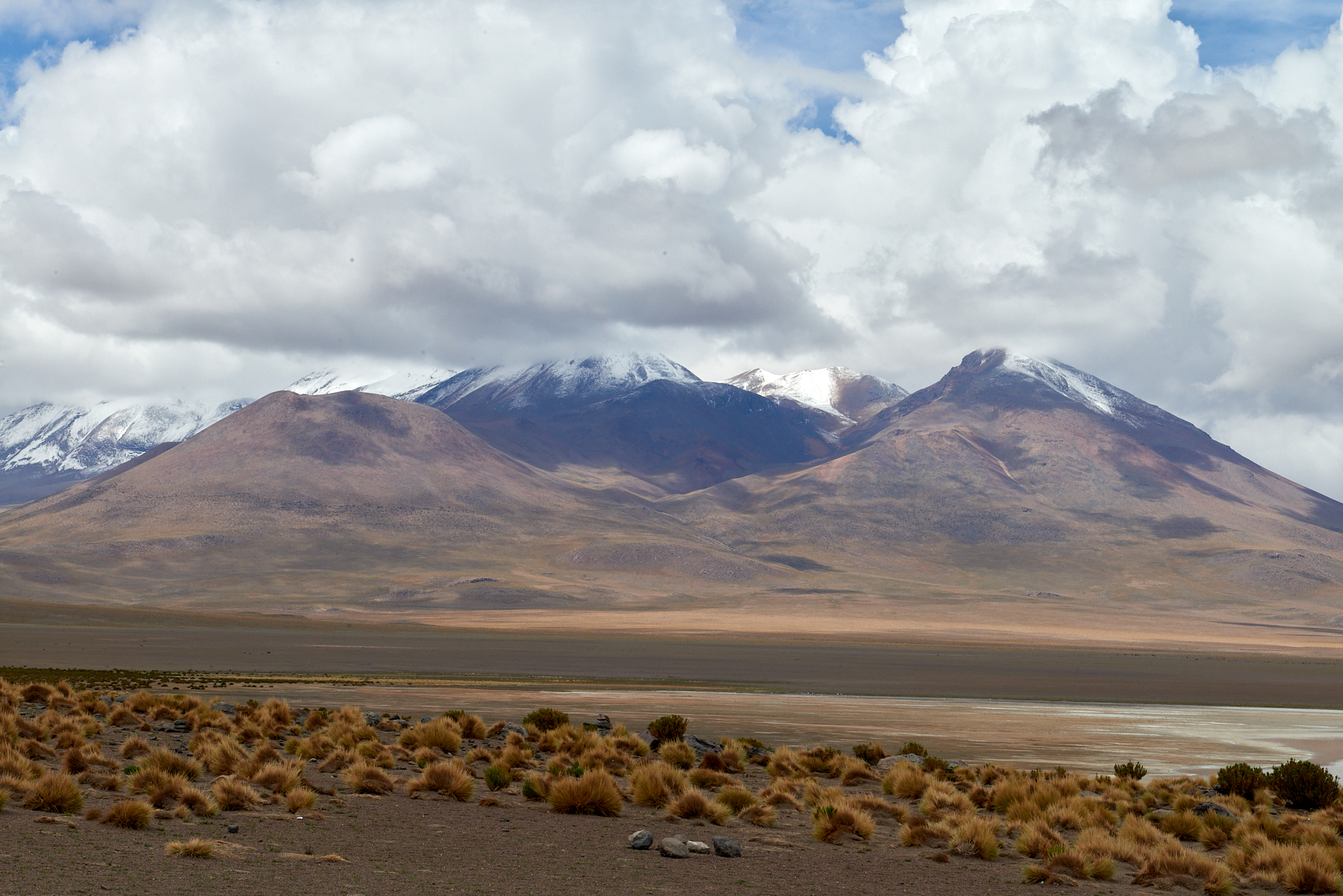 20200313 460 [볼리비아] 카냐파 호수